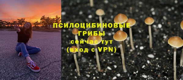 МДПВ Алзамай
