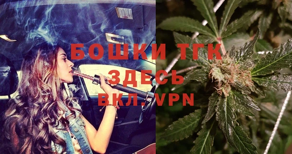 МДПВ Алзамай
